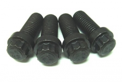 Adapter Flange 12 Point Bolts